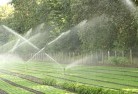 Gumlulandscaping-water-management-and-drainage-17.jpg; ?>
